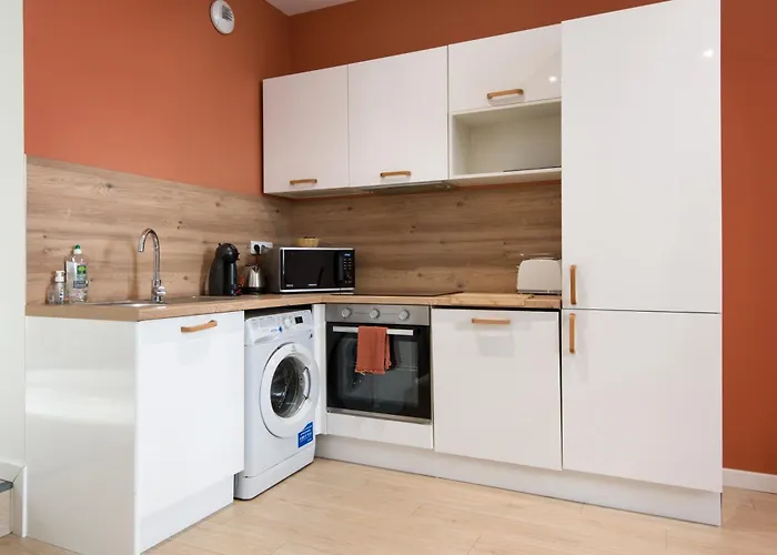 T2 Moderne Totalement Renove, Hypercentre Rochefort, Arrivee Autonome Rochefort (Charente-Maritime)